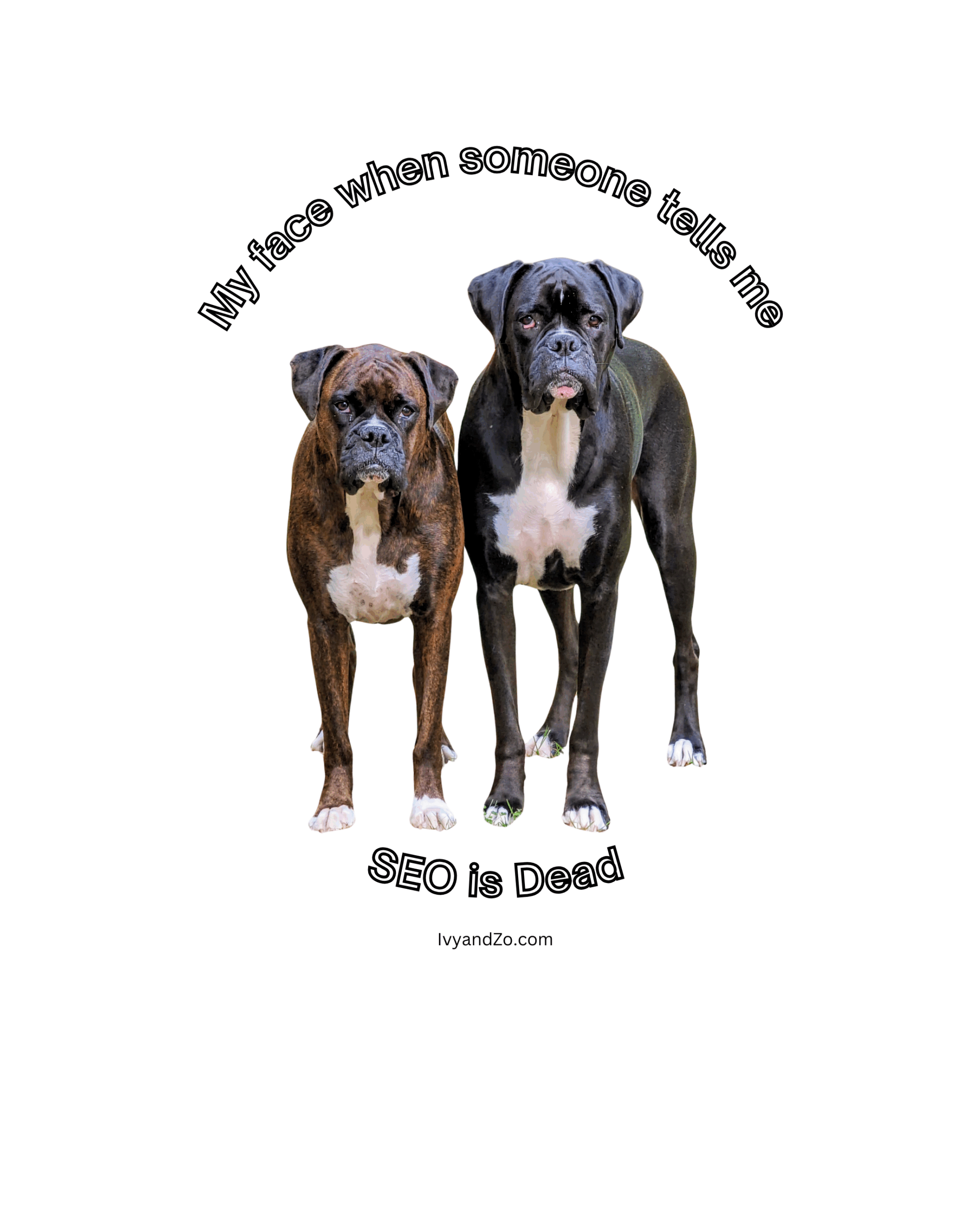 Ivy and Zo boxer dogs face when someone says SEO is dead
