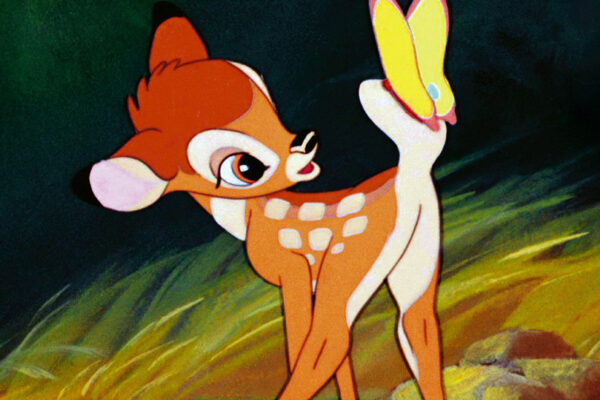 Oh Deer